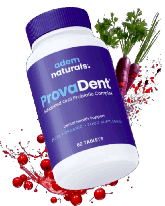 provadent review